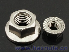 ss316 hex nut